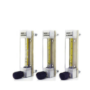 Magnetschwimmer-Durchflussmesser 1