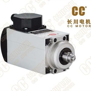 Induktionsmotor 1
