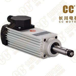 Induktionsmotor 1