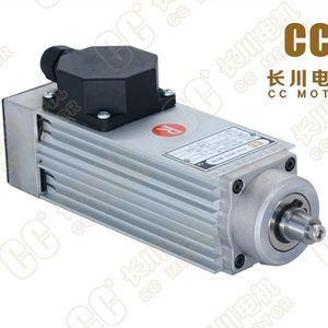 Induktionsmotor 1