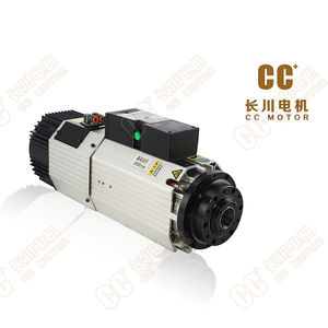 Induktionsmotor 1