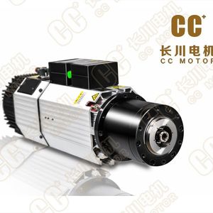 Induktionsmotor 1