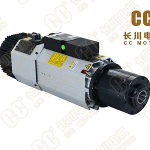 Induktionsmotor 1