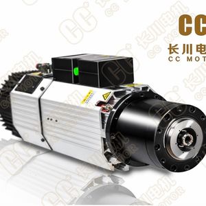Induktionsmotor 1