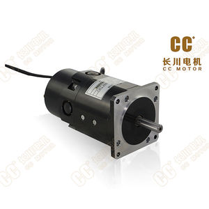 Induktions-Servomotor