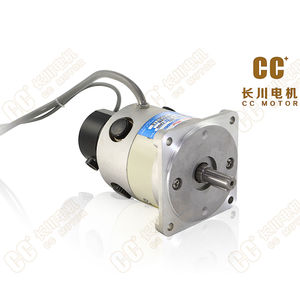 Induktions-Servomotor