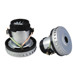 bürstenbehafteter Motor