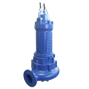 Impellerpumpe 1