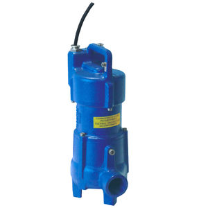 Impellerpumpe 1