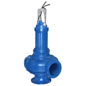 Impellerpumpe 1