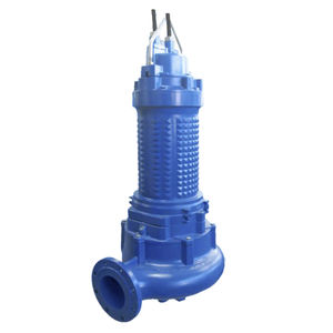 Impellerpumpe 1