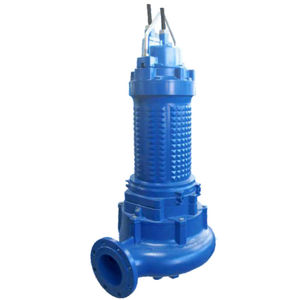 Impellerpumpe 1