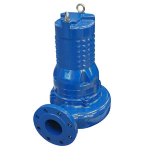 Impellerpumpe 1