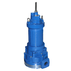 Impellerpumpe 1
