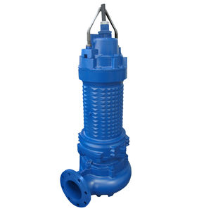 Impellerpumpe 1