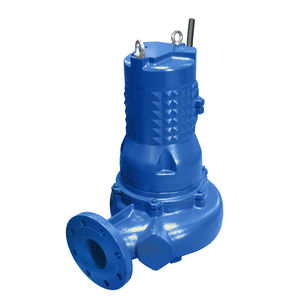 Impellerpumpe 1