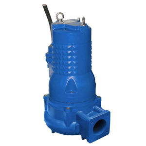 Impellerpumpe 1
