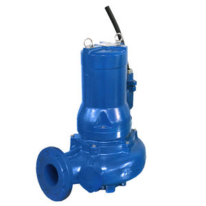 Impellerpumpe 1