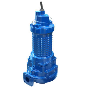 Impellerpumpe 1