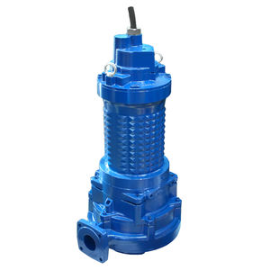 Impellerpumpe 1