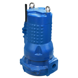 Impellerpumpe 1