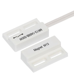 Reed-Magnetsensor 1