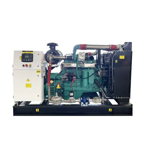 Biogas-Stromaggregat