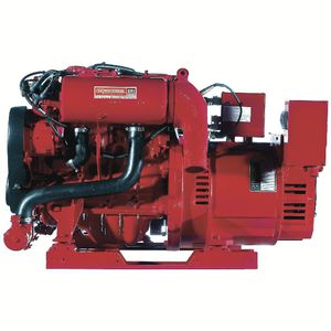 benzinbetriebenes Stromaggregat 1