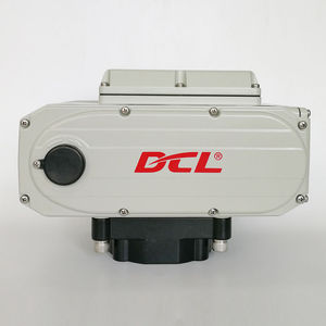 motorisierter Ventilantrieb 1