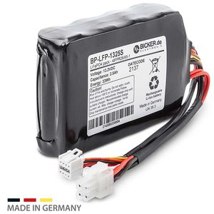 LiFePO4-Batteriemodul