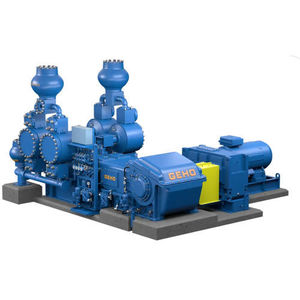 Kolbenpumpe 1