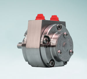 Lamellen-Druckluftmotor 1