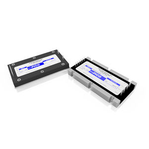 verkapseltes DC/DC-Wandlermodul