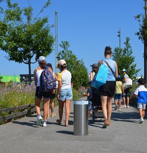 Feststehender Poller / Stahl