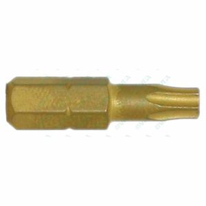 Torx-Schrauberbit 1
