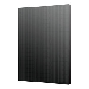 Solarmodul / monokristallines Silicium