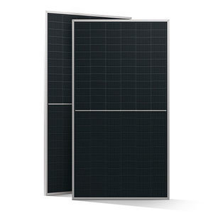 Solarmodul / monokristallines Silicium 1