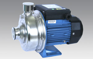 Impellerpumpe