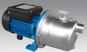 Impellerpumpe