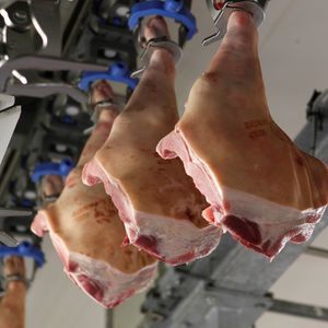 Schweinefleisch-Ausbeinmaschine 1
