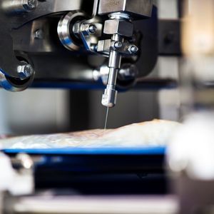automatischer Grätenextraktor