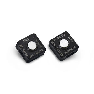 elektrochemischer Schwefelwasserstoffsensor