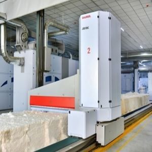 Rupfmaschine
