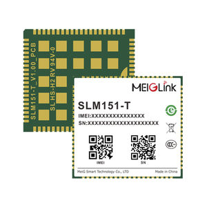 Wireless-Modul / Datenübertragung