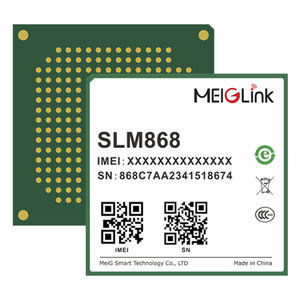 Wireless-Modul / Datenübertragung