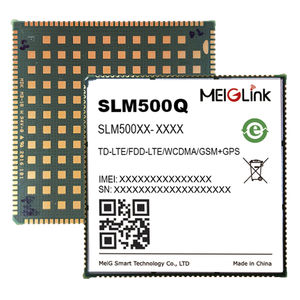 Wireless-Modul / Datenübertragung