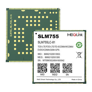 Wireless-Modul / WiFi