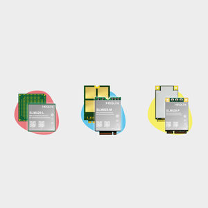 Wireless-Modul / Datenübertragung