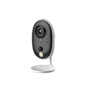 IP-Kamera