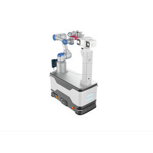 Knickarmroboter 1